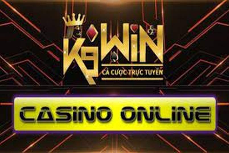 K9win mang đến chất lượng dịch vụ hoàn hảo