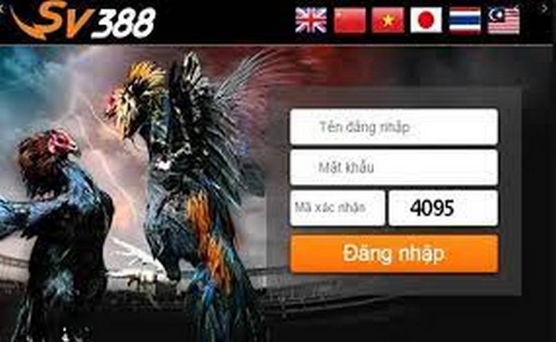 Sv388 là nhà cái sở hữu lượng lớn khách hàng